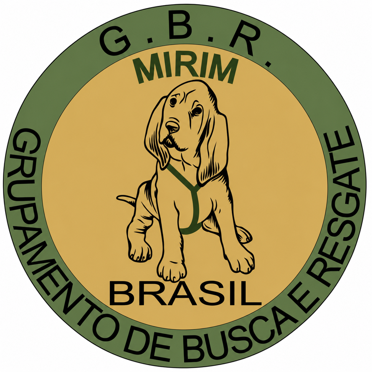 GBR Mirim